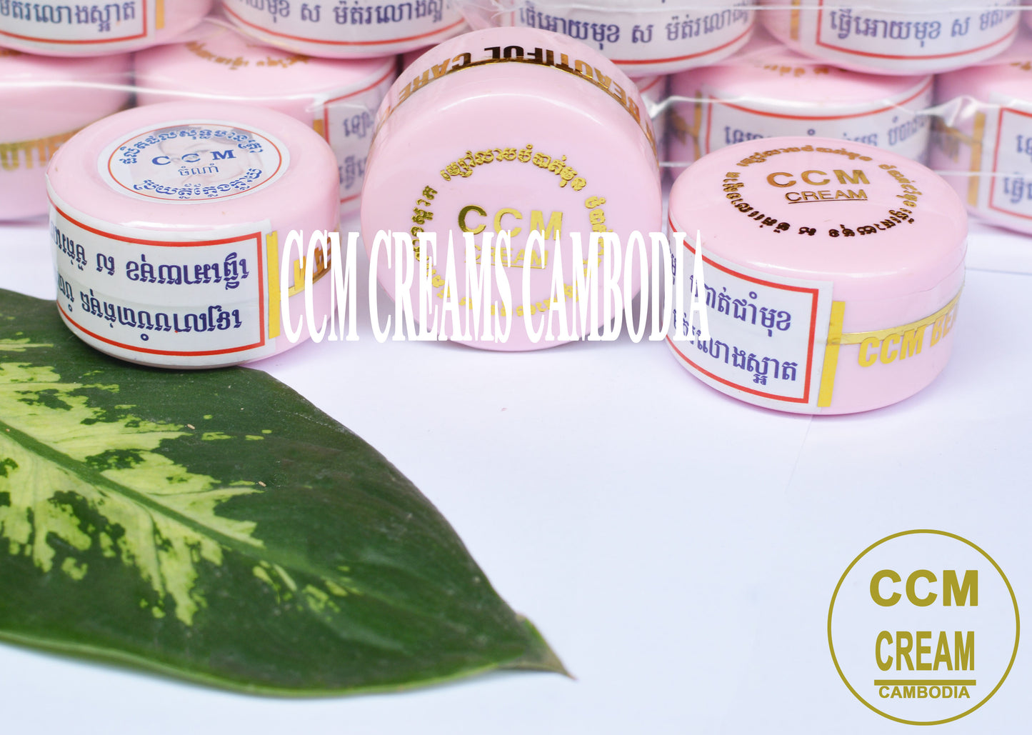 CCM Cream Cambodia 12 PCS